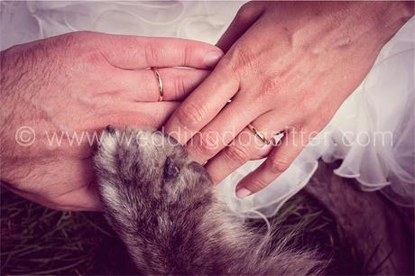 Wedding Dog Sitter - matrimonio a tre