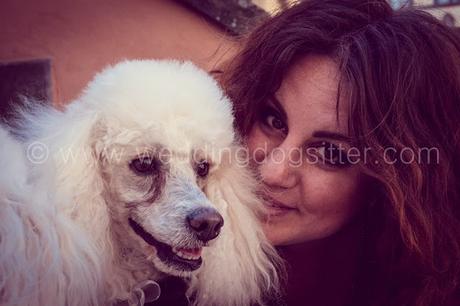 Wedding Dog Sitter - matrimonio a tre