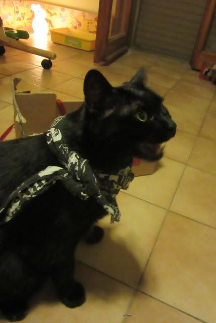 Crazy Nights Crazy Nights