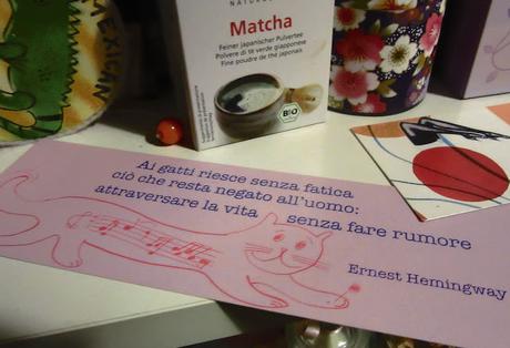 Crazy Nights Crazy Nights