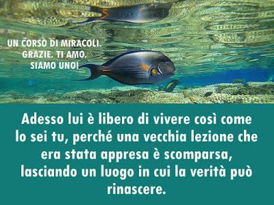 Il falso non può essere la verità e che ciò che è la verità non può essere falso. Parte 5.