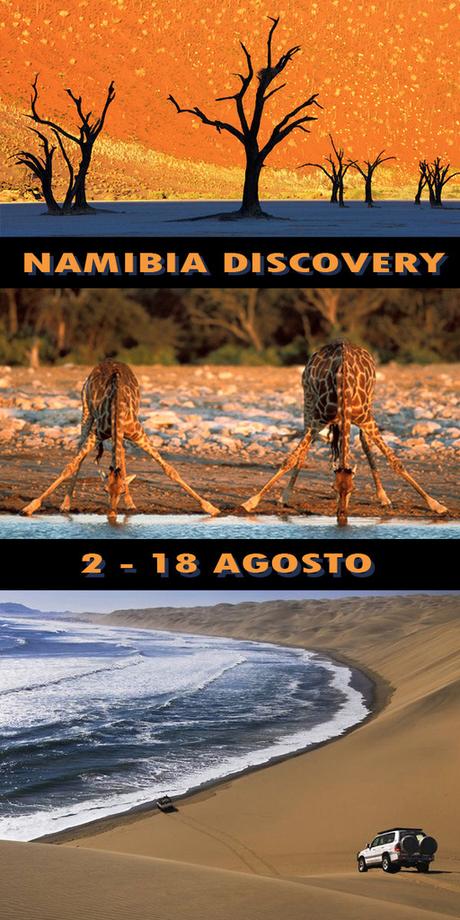 Ready for Namibia Discovery