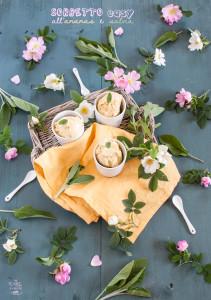 Sorbetto easy all’ananas e salvia sorbetto easy ananas e salvia - Gluten free travel & Living