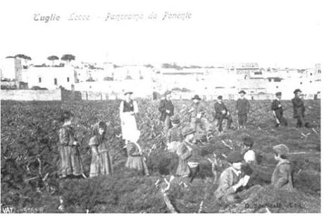 Tuglie: crisi economica e ampliamento del territorio Tuglie Panorama da Ponente