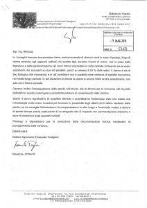 Addio ai tigli images-2012-copia di perizia_torrigiani_