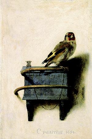 300px-Fabritius-vink