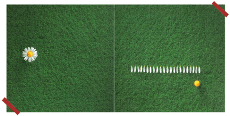 Ordine Vs Caos philosophie