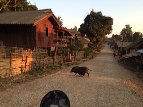 Farang travel in Northern Laos 2015 Second Step  Hill Tribe Villages Tour 16 days Exploring Hiltribes and Natural Diversity