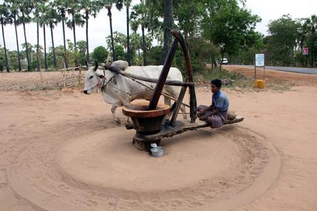 Birmania (1°parte – Yangon, Golden Rock, Bago, Monte Popa, Bagan) Birmania_viaggiandovaldi