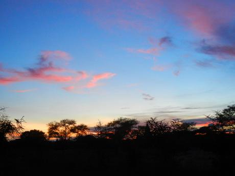 Birmania (1°parte – Yangon, Golden Rock, Bago, Monte Popa, Bagan) Birmania_Bagan_viaggiandovaldi