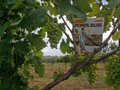 #AudaciNelMondo #AudaciNelMondo