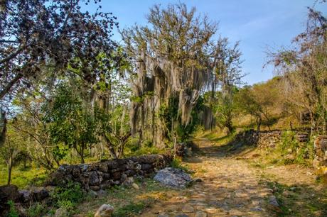 Barichara o Villa de Leyva? Appunti e Racconti di viaggio.