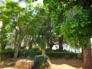 Liquefatta… Liquefatta…