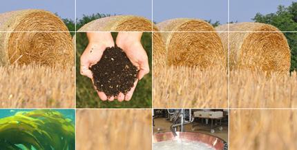 Bioenergia da alghe e paglia Bioenergia da alghe e paglia