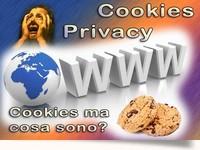 Privacy - Che cosa sono questi Cookies?