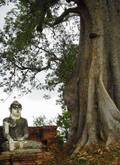 Birmania (2°parte – Mandalay, Ava, Amarapura, Mingun) Birmania_viaggiandovaldi