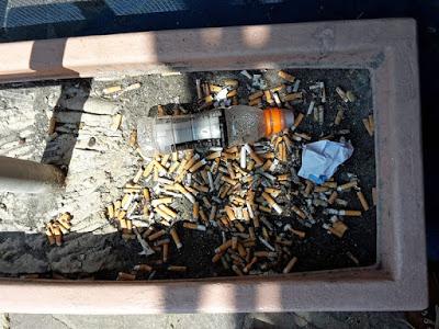 Cose che succedono, non altrove, ma a Fidenza Cose che succedono, non altrove, ma a Fidenza