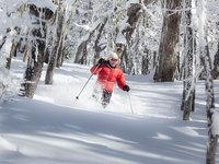 Cerro Perito Moreno, infiniti chilometri di piste e neve a volontà. Cerro Perito Moreno, infiniti chilometri di piste e neve a volontà.