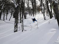 Cerro Perito Moreno, infiniti chilometri di piste e neve a volontà. Cerro Perito Moreno, infiniti chilometri di piste e neve a volontà.