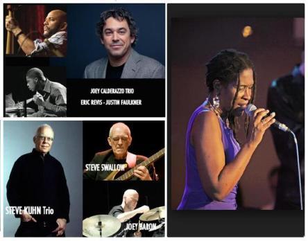 CORINALDO JAZZ FESTIVAL 2015 – XVII Edizione | 3-11 agosto 20923-corinaldo-jazz-festival-2015-xvii-edizione