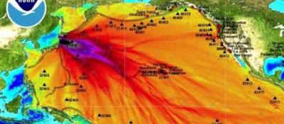 Fukushima ha ormai contaminato quasi 1/3 degli oceani del pianeta