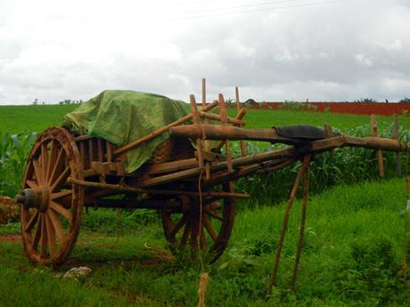 Birmania (ultima parte – Grotte di Pindaya, Lago Inle) DSCN1152