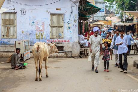 Pensieri sparsi sull’India. Tiziano Terzani. Pensieri sparsi sull’India. Tiziano Terzani.