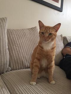 Cambiare vita e realizzare i propri sogni Cambiare vita e realizzare i propri sogni