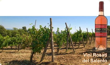 Rosati salentini, dal tipico sentore fruttato, da abbinare alla cucina marinara locale. Rosati salentini, dal tipico sentore fruttato, da abbinare alla cucina marinara locale.