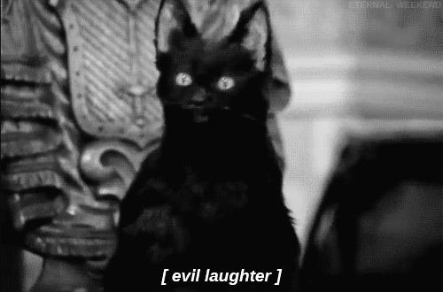A tu per tu con la Redazione: Enrico Siringo Evil Cat Gif