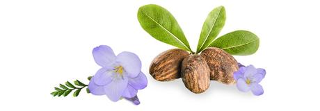 PREVIEW: Linea Body Style - MILLEFIORI MILANO PREVIEW: Linea Body Style - MILLEFIORI MILANO