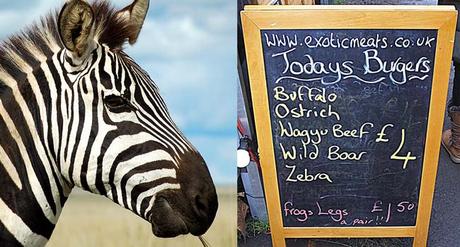 zebraburger