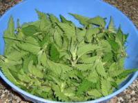 Spaghetti all’ortica int