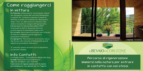 Realizzazione grafica brochures quadrata a 4 facciate per stampa