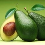 Cibi pericolosi per cani avocado