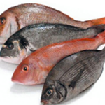 Cibi pericolosi per cani pesce