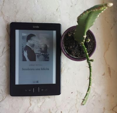 SEMBRAVA UNA FELICITA' - Jenny Offill SEMBRAVA UNA FELICITA' - Jenny Offill