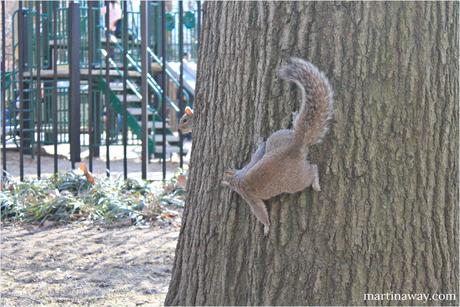 Il dolce far niente a Washington Square Park. Il dolce far niente a Washington Square Park.