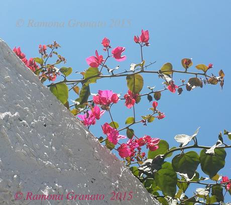 Un'estate di... Un'estate di...