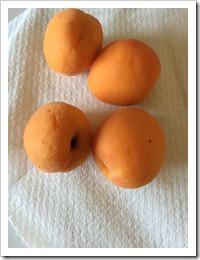 Albicocche a merenda Albicocche a merenda