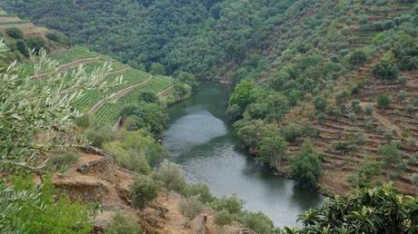 E il navigar m’è dolce, in queste acque (Portogallo, parte seconda) E il navigar m’è dolce, in queste acque (Portogallo, parte seconda)