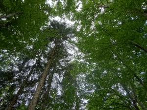 Benvenuti in Trentino Benvenuti in Trentino