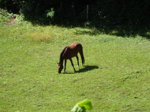 Benvenuti in Trentino Benvenuti in Trentino