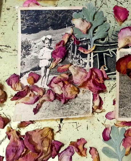 Floralmoodboard CONTEST su Blossom zine partecipa anche tu! Blossom zine Gressoney Artemisia 2015 .12