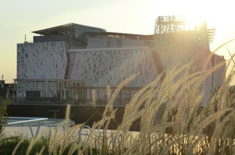 EXPO, l’altra cronaca 3