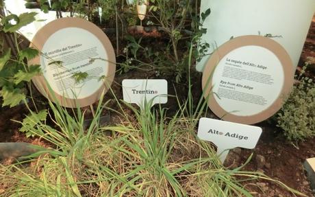 EXPO, l’altra cronaca 9