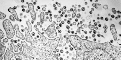 Da-dove-veniamo? Da-dove-veniamo?