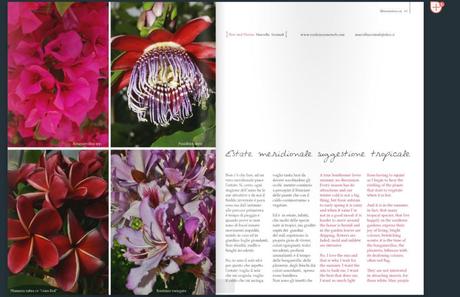 Perchè le piante tropicali hanno fiori dal colori accesi? clipped blossom zine