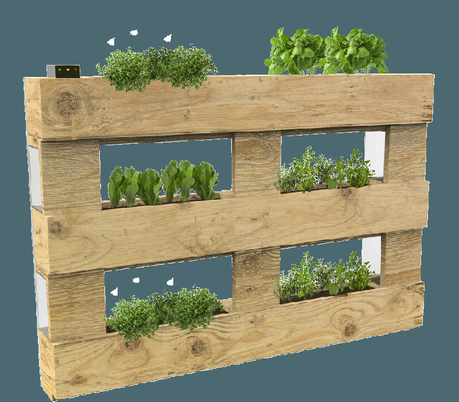 HanGreen. Un’idea nata sui banchi di scuola HanGreen. Un’idea nata sui banchi di scuola