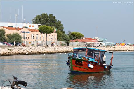 #InstagrammiAMOCAORLE: in bicicletta a Caorle. #InstagrammiAMOCAORLE: in bicicletta a Caorle.